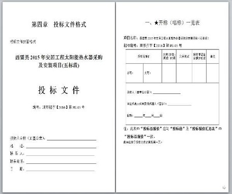 項目投標(biāo)書翻譯哪個公司業(yè)務(wù)水平更高