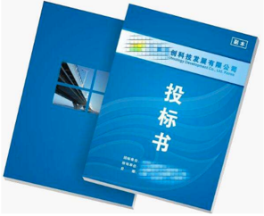 項目標書翻譯-尚語翻譯 項目標書翻譯-尚語翻譯